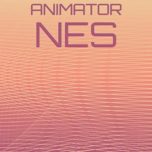 Animator Nes