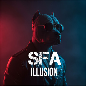 Illusion