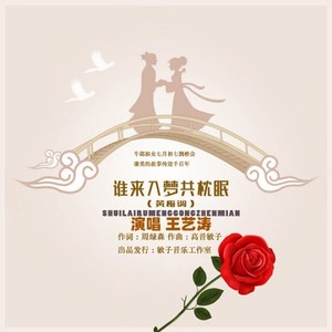 谁来入梦共枕眠 (伴奏)