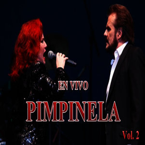 Yo Duena de la Noche