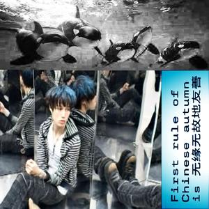 whale sounds to ruin things to (Explicit)