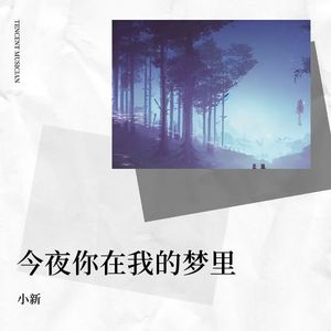 今夜你在我的梦里
