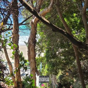 Pull A Move (Explicit)