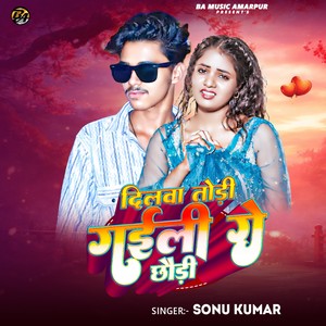 Dilwa Todi Gaili Ge Chhaudi