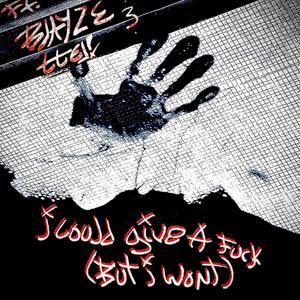 I COULD GIVE A **** (but i won't) (Explicit)