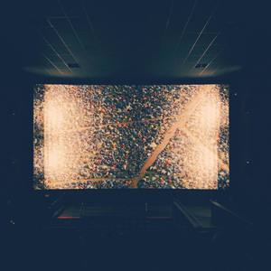 Crickets for Meditation