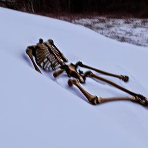 NARCOLEPTIC (Explicit)