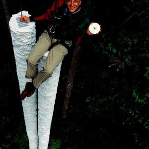 BTC & FAKE FOOD (Explicit)