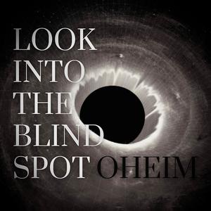 Look Into The Blind Spot
