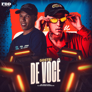Gostei de Você (Explicit)