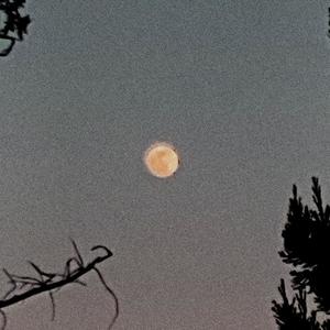 she left for good (Part 2)