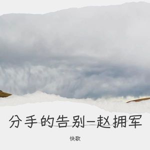 分手的告别-赵拥军