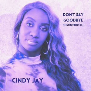 Don't Say Goodbye (Remix|Instrumental)