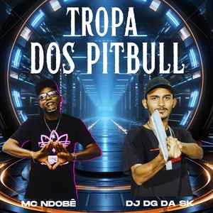 Tropa dos Pitbull (Explicit)