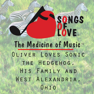 Oliver Loves Sonic the Hedgehog, His Family and West Alexandria, Ohio