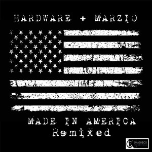 Made in America (Remixed)