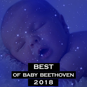 Best of Baby Beethoven 2018