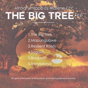 The Big Tree (Afrodrumloop)