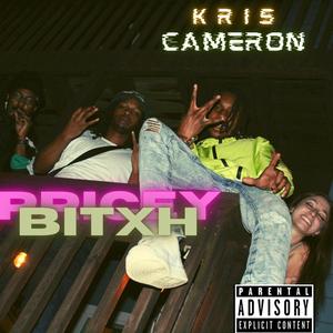 Pricey Bitxh (feat. TreGod) [Explicit]