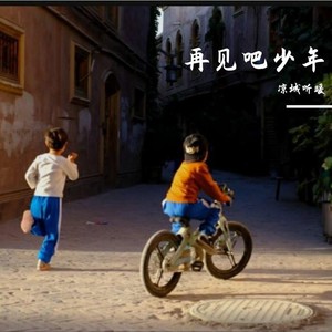 再见吧少年