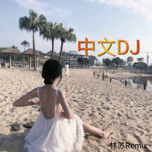 偏爱 (DJ干声修改版)