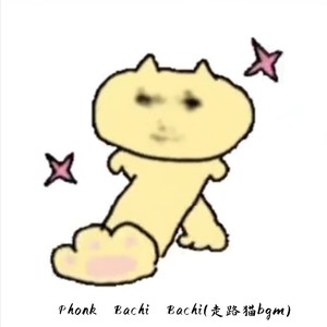 抽象小生 - Phonk Bachi Bachi (走路猫bgm)
