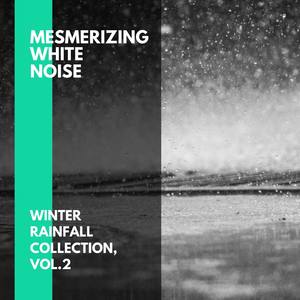 Mesmerizing White Noise - Winter Rainfall Collection, Vol.2