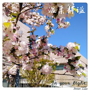 温柔静谧 钢琴版