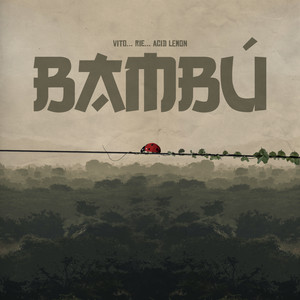 Bambú