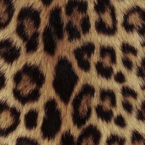 TALK (Bly Stil As Ek Praat) (Explicit)