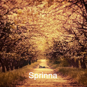 鸟鸣与春樱的对话