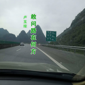 敢问路在何方