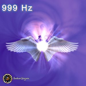 999Hz