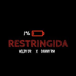 Restringida (feat. WILBY DR)