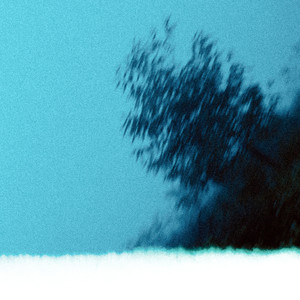 Real or not (OhAn Ver.)