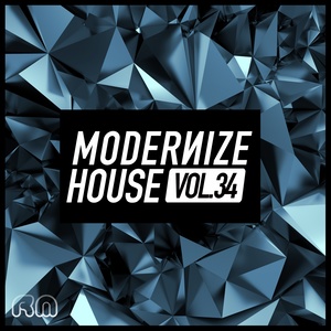 Modernize House, Vol. 34