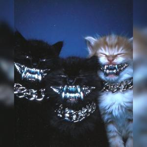 No necesito #freestyle (Explicit)