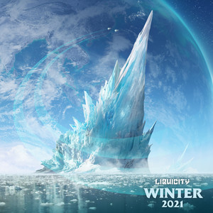 Liquicity Winter 2021