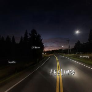 feelings (feat. Lucki & Akshay)