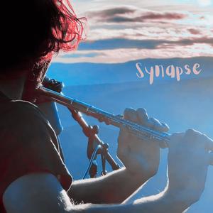 Synapse