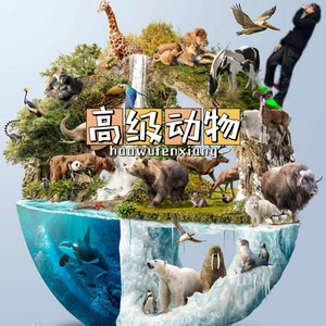 藏起我