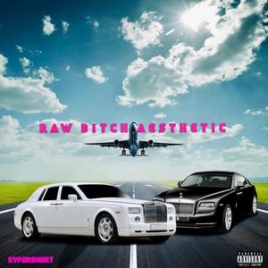 Raw ***** Aesthetic (Explicit)