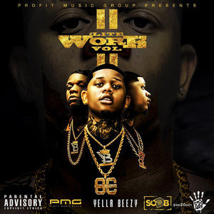 Lite Work, Vol. 2 (Explicit)