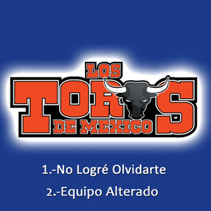 No Logré Olvidarte