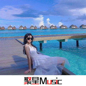 林中鸟 (Remix)