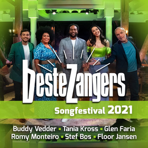 Beste Zangers Songfestival 2021