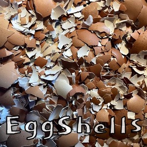 Eggshells