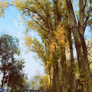 乌鲁木齐的秋