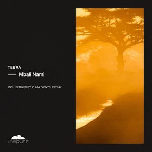 Mbali Nami (Zuma Dionys Remix)