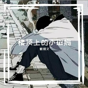 楼顶上的小斑鸠